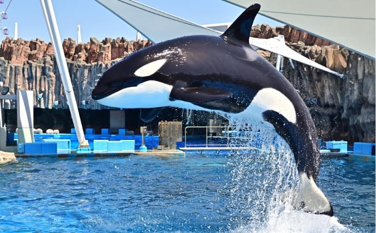 名古屋港水族館